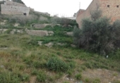 Terreno no urbanizable en venta en la España, Abarán, ref: TR227786 foto