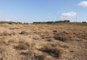 Parcela urbanizable en venta en la España, Almansa, ref: TR116002 foto