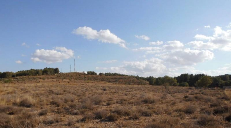 Albacete - Almansa - 11300m2