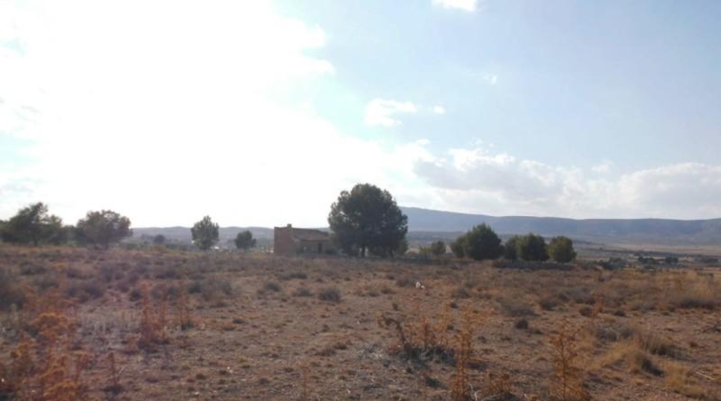 Albacete - Almansa - 11300m2