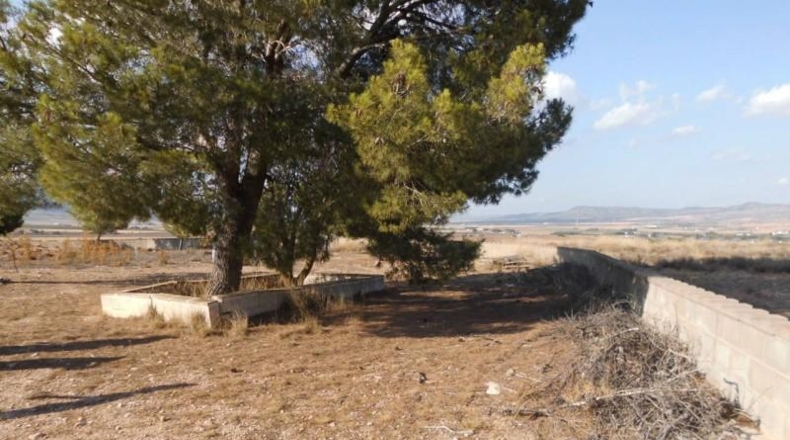 Albacete - Almansa - 11300m2