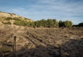 Terreno no urbanizable en venta en la España, Almansa, ref: TR116010 foto