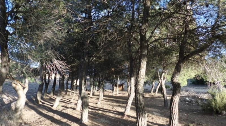 Albacete - Almansa - 14000m2