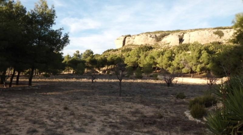 Albacete - Almansa - 14000m2