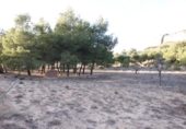 Terreno no urbanizable en venta en la España, Almansa, ref: TR116010 foto