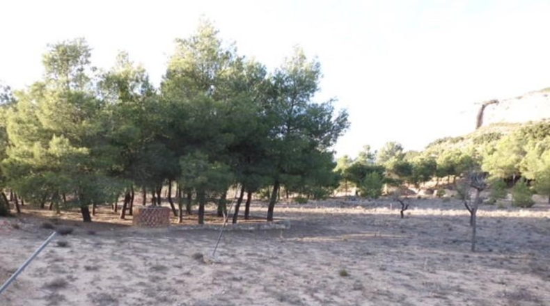 Albacete - Almansa - 14000m2