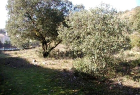 Fuentenovilla 622&nbsp;m²