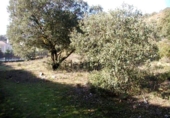 Sòl urbà en venda a la España, Fuentenovilla, ref.: TR339048 foto