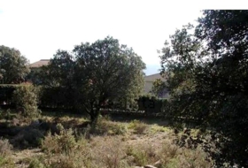 Fuentenovilla 622&nbsp;m²