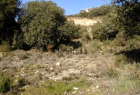 Fuentenovilla 622&nbsp;m²