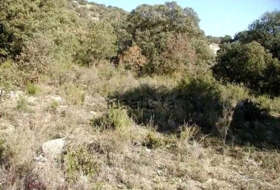 Fuentenovilla 622&nbsp;m²