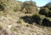 Sòl urbà en venda a la España, Fuentenovilla, ref.: TR339048 foto