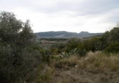 Casa de campo con terreno en venta en la España, Vall d'Alba, ref: TR316746 foto