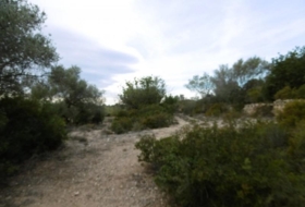 Foto 10