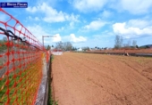 Отдельно стоящий дом с участком на продажу в городе Понферрада Фото