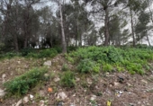 Suelo urbano en venta en la España, la Bisbal del Penedès, ref: TR315962 foto