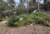 Suelo urbano en venta en la España, la Bisbal del Penedès, ref: TR315962 foto
