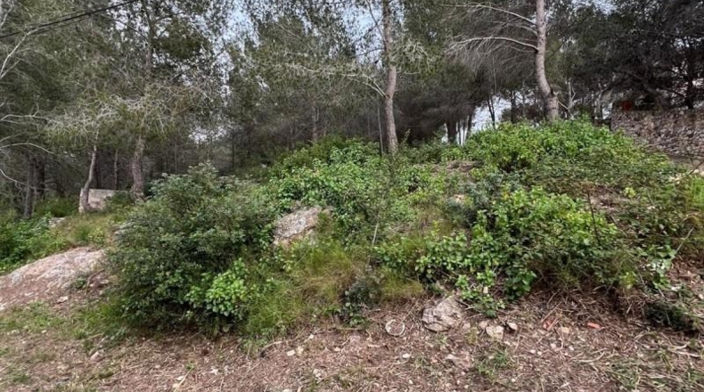 Tarragona - la Bisbal del Penedès - 465m2