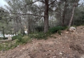 Suelo urbano en venta en la España, la Bisbal del Penedès, ref: TR315962 foto