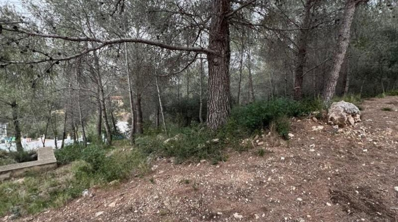 Tarragona - la Bisbal del Penedès - 465m2
