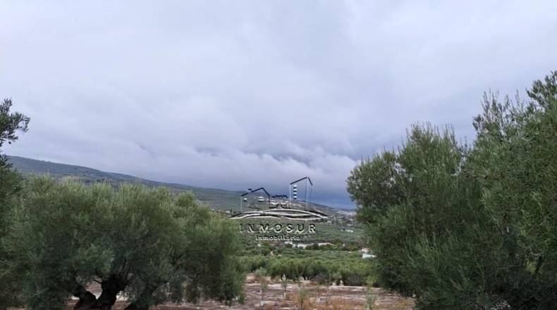 Córdoba - Lucena - 5740m2