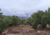 Terreny no urbanitzable en venda a la España, Lucena, ref.: TR241744 foto