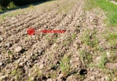 Non-developable land for sale on España, Arlanzón, ref: TR241741 photo
