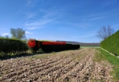 Non-developable land for sale on España, Arlanzón, ref: TR241741 photo