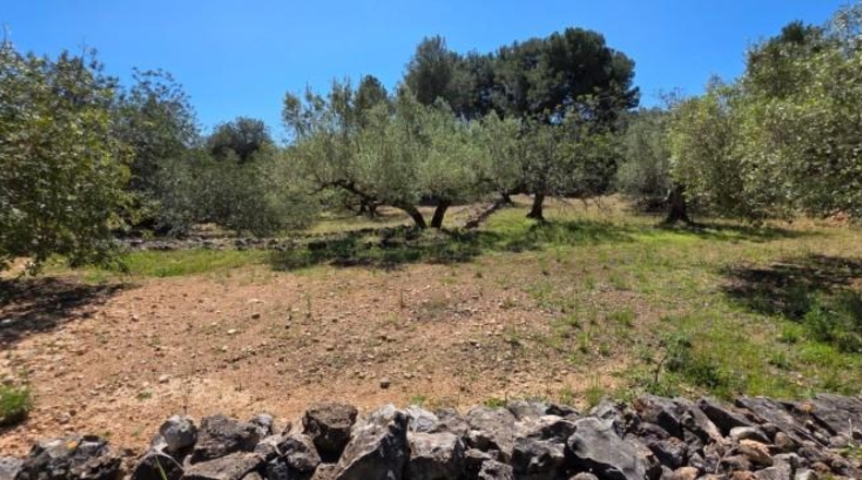 Tarragona - el Perelló - 4969m2