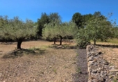 Terreno no urbanizable en venta en la España, el Perelló, ref: TR312451 foto