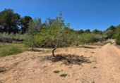 Terreno no urbanizable en venta en la España, el Perelló, ref: TR312451 foto