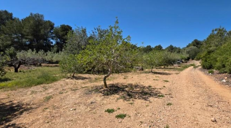 Tarragona - el Perelló - 4969m2