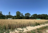 Terreno no urbanizable en venta en la España, Urroz-Villa, ref: TR248177 foto