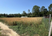 Terreno no urbanizable en venta en la España, Urroz-Villa, ref: TR248177 foto