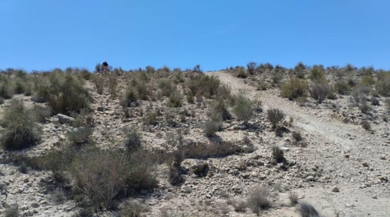 Murcia - Molina de Segura - 13416m2