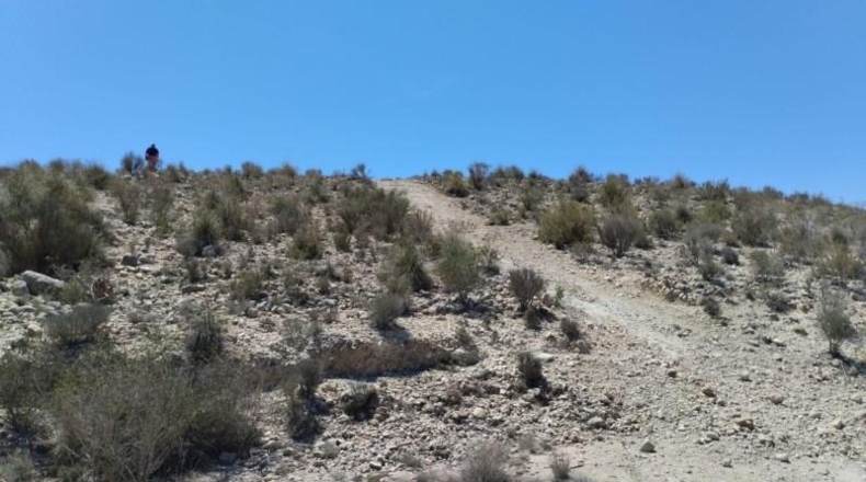 Murcia - Molina de Segura - 13416m2