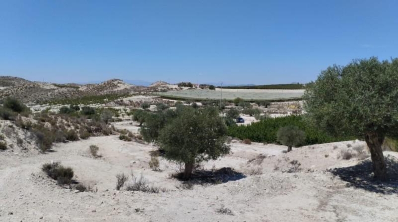 Murcia - Molina de Segura - 13416m2