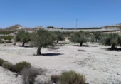 Terreno no urbanizable en venta en la España, Molina de Segura, ref: TR248178 foto