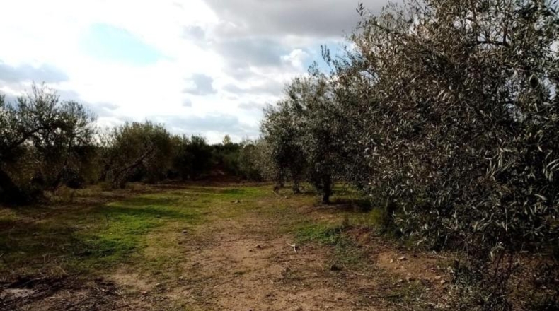 Sevilla - Arahal - 11m2