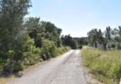 Terreno no urbanizable en venta en la España, Cretas, ref: TR337481 foto