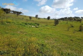 Badajoz 1250&nbsp;m²