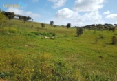 Terreno no urbanizable en venta en la España, Badajoz, ref: TR121374 foto