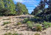 Terreno no urbanizable en venta en la España, Maspujols, ref: TR129824 foto