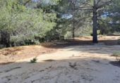 Terreno no urbanizable en venta en la España, Maspujols, ref: TR129824 foto