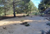 Terreno no urbanizable en venta en la España, Maspujols, ref: TR129824 foto