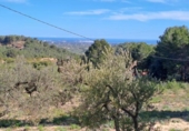 Terreno no urbanizable en venta en la España, Maspujols, ref: TR129824 foto