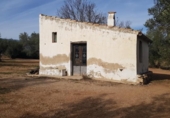 Terreno no urbanizable en venta en la España, Mas de Barberans, ref: TR296208 foto