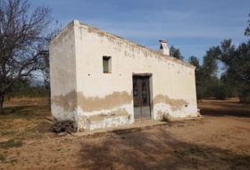 Foto 11