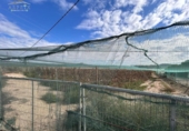 Terreny no urbanitzable en venda a la España, Montfort, ref.: TR177451 foto