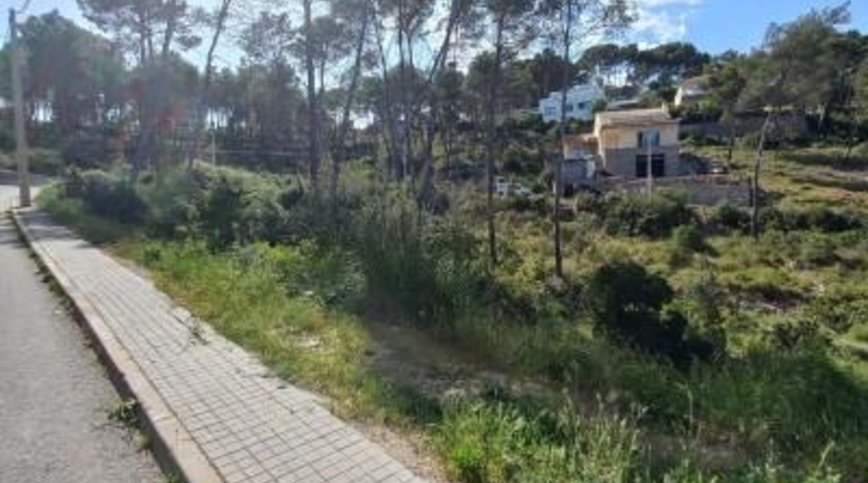 Barcelona - Olivella - 733m2